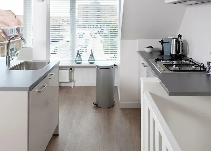 New Zandvoort! 赞德沃特